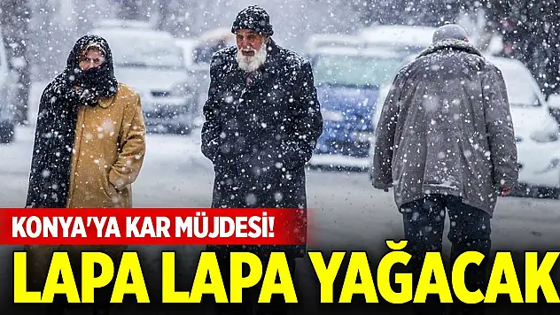 Meteorolojiden Konya'ya kar müjdesi! Lapa lapa yağacak