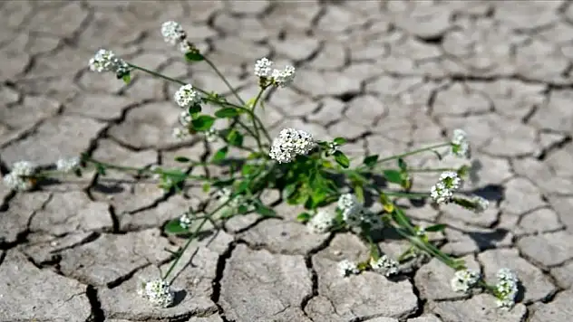 Yeşil yatırım geliyor... Türkiye'nin ilk 'İklim Kanunu' için geri sayım