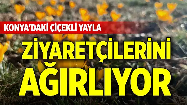 Konya'daki çiçekli yayla ziyaretçilerini ağırlıyor