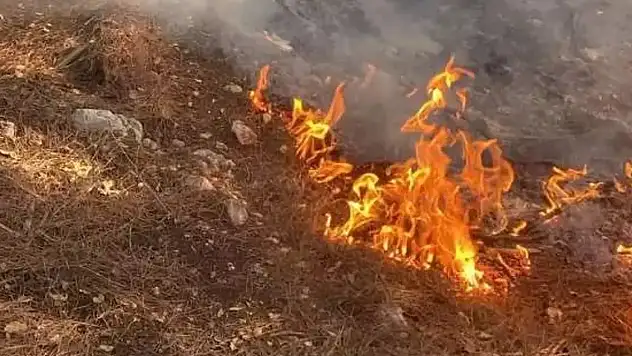 Osmaniye'de orman yangını