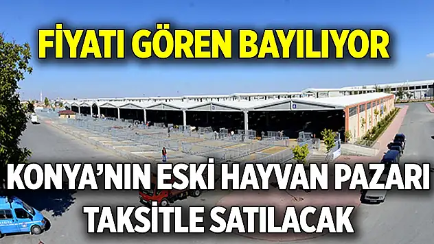 Konya'nın eski hayvan pazarı taksitle satılacak  Fiyatı gören bayılıyor