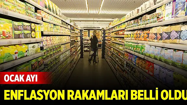 Son Dakika! Ocak ayı enflasyon rakamları belli oldu