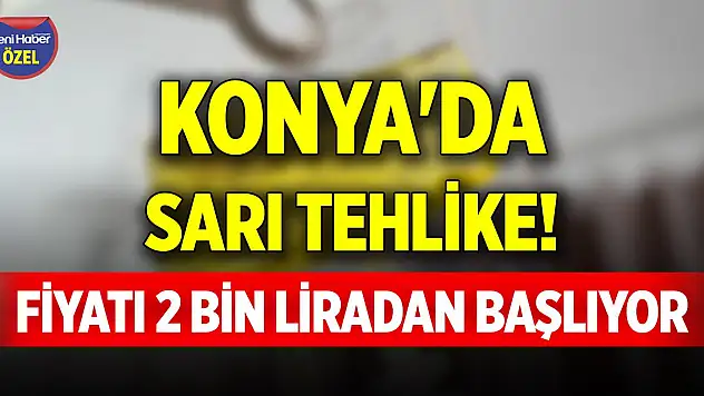 Konya'da sarı tehlike! Fiyatı 2 bin liradan başlıyor