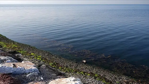 Ege Denizi'nde deprem fırtınası... 754 sarsıntı meydana geldi