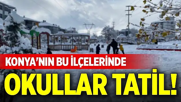 Konya'nın bu ilçelerinde okullar tatil!