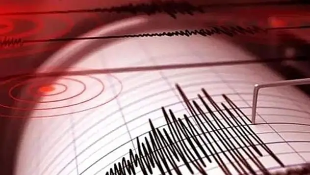 Depremler paniğe yol açtı