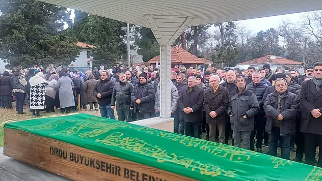 Yol kenarında yürürken öldü