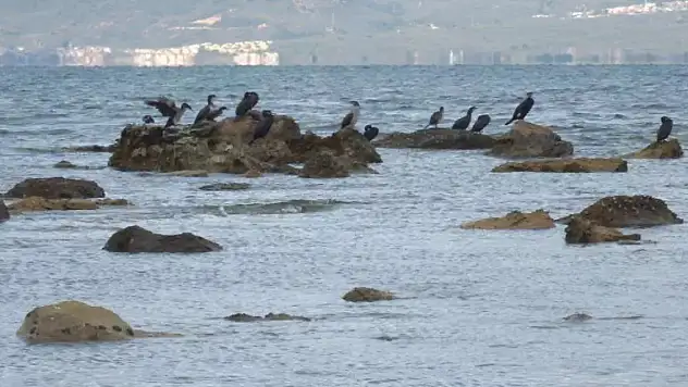Deniz çekildi, 2 bin 500 yıllık antik liman ortaya çıktı