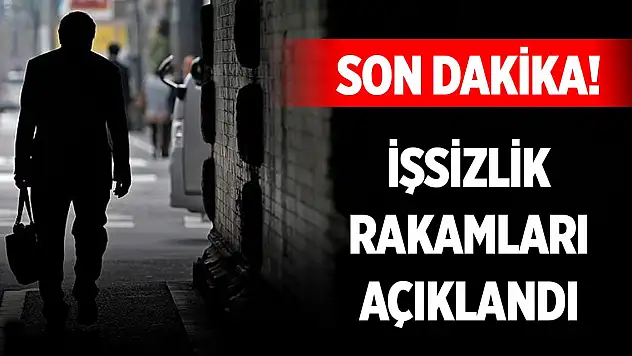 Son Dakika! Aralık 2024 işsizlik oranı açıklandı