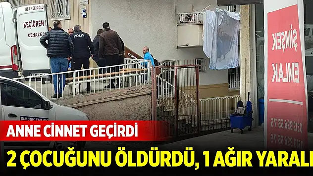 Ankara'da bir kadın, iki çocuğunu öldürdü, bir çocuğunu ağır yaraladı