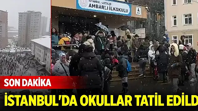 Son Dakika! İstanbul'da 9 ilçede okullar tatil edildi