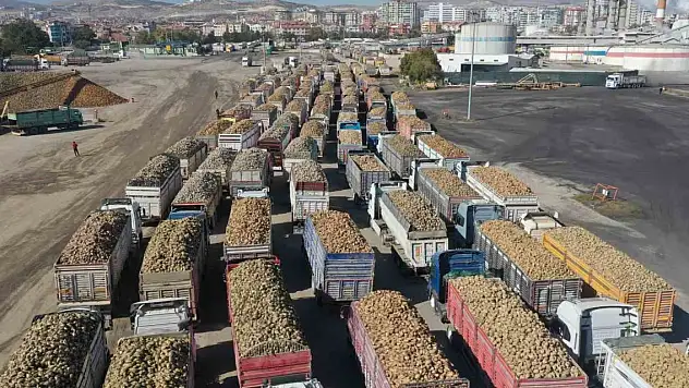 Şeker pancarı alım fiyatı belli oldu