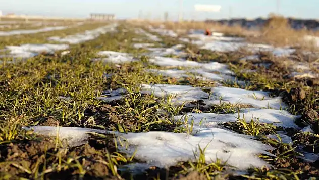 Konya'da kar yağışı çiftçiyi umutlandırdı