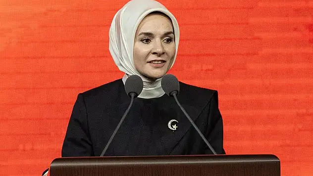 Bakan Göktaş: OECD ve üye ülkelerle iş birliğimizi kararlılıkla sürdüreceğiz