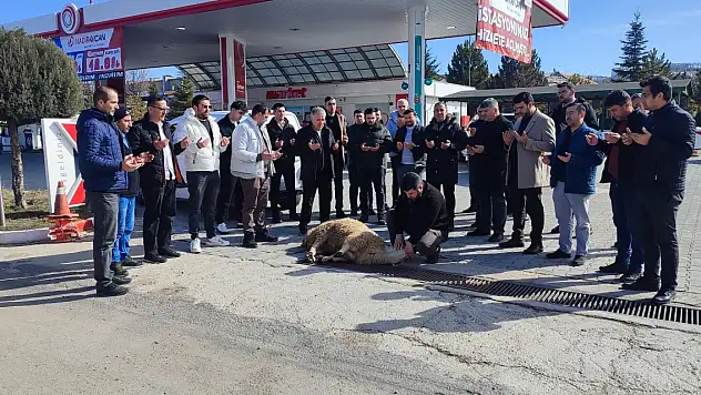 Nadir Avcan 17'nci şubesini açtı