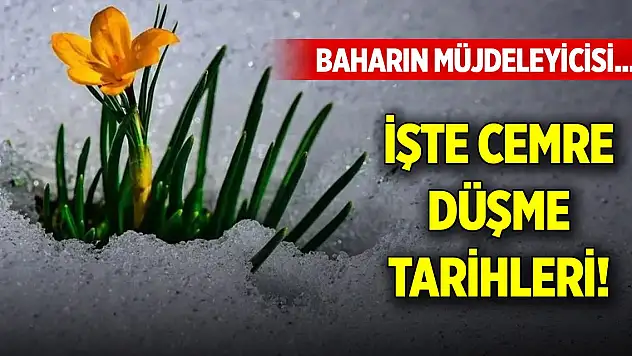 Baharın müjdeleyicisi... İşte cemre düşme tarihleri...