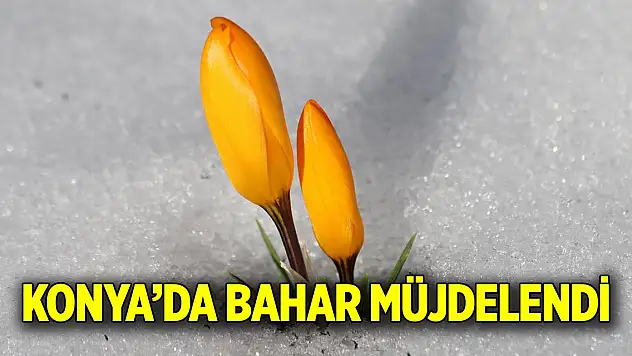 Konya'da bahar müjdelendi