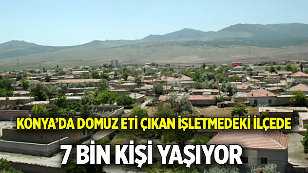 Konya'da domuz eti çıkan işletmedeki ilçede 7 bin kişi yaşıyor