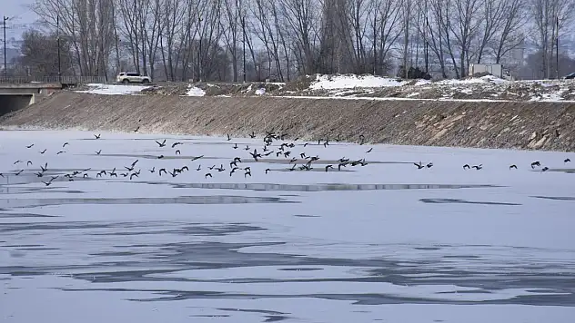 Sıcaklık eksi 18'i gördü, Türkiye'nin en uzun nehri kısmen dondu