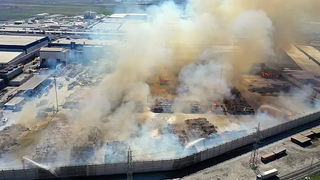 Aydın'da kağıt fabrikası alevlere teslim oldu!