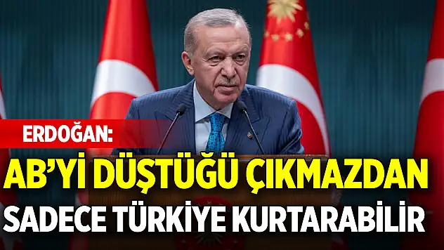 Cumhurbaşkanı Erdoğan: AB'yi düştüğü çıkmazdan sadece Türkiye kurtarabilir