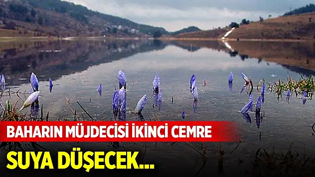 Baharın müjdecisi ikinci cemre suya düşecek...