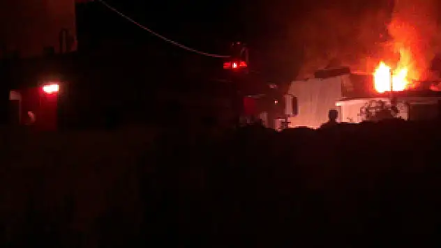 Karapınar'daki yangında 3 kuzu telef oldu