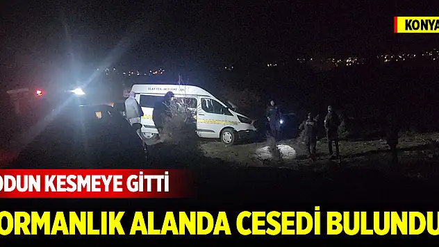 Konya'da odun kesmeye gitti, ormanlık alanda cesedi bulundu