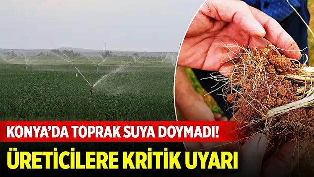 Konya Ovası'nda toprak suya doymadı! Üreticilere kritik uyarı