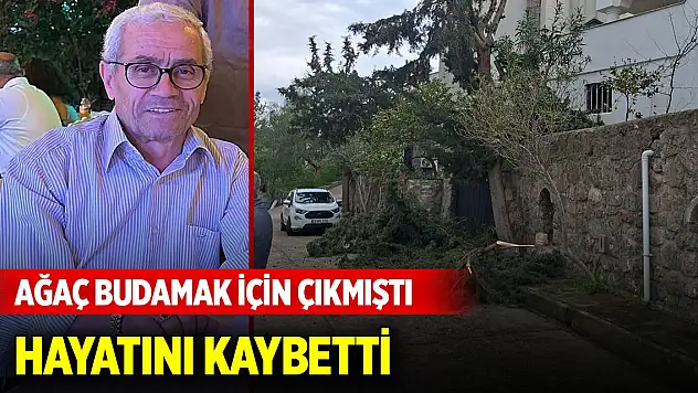 Ağaç budamak için çıktığı duvardan düşüp öldü... O isim tutuklandı!