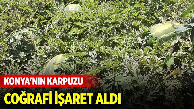 Konya'nın karpuzu coğrafi işaret aldı