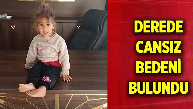Kayıp 4 yaşındaki Nazlı Şeşen'in derede cansız bedeni bulundu