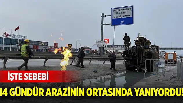 14 gündür arazinin ortasında yanıyordu! İşte sebebi