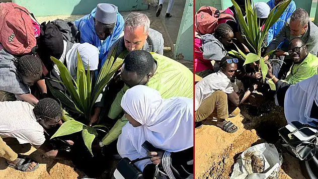 Senegal'de su kuyularının çevresine 109 ağaç dikildi