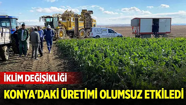İklim değişikliği Konya'daki üretimi olumsuz etkiledi