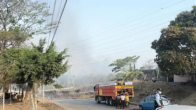 Çeteler arasında çıkan çatışma! 22 kişi öldü