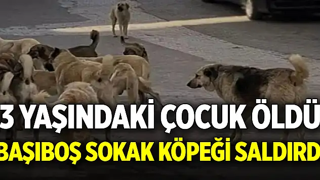 Konya'da başıboş sokak köpeğinin saldırdığı 3 yaşındaki çocuk öldü