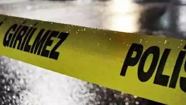 Annesini arabada birlikte yakaladığı adamı kamayla öldürdü