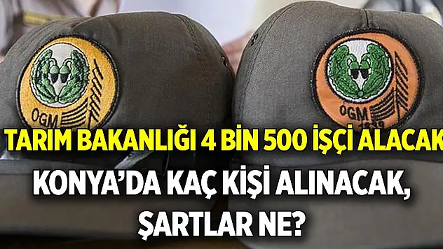 Bakanlık 4 bin 500 işçi alacak...  Konya'da kaç kişi alınacak, şartlar ne?