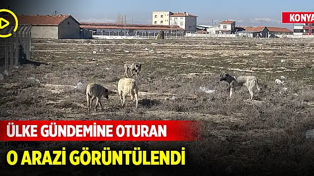 Konya'da ülke gündemine oturan o arazi görüntülendi