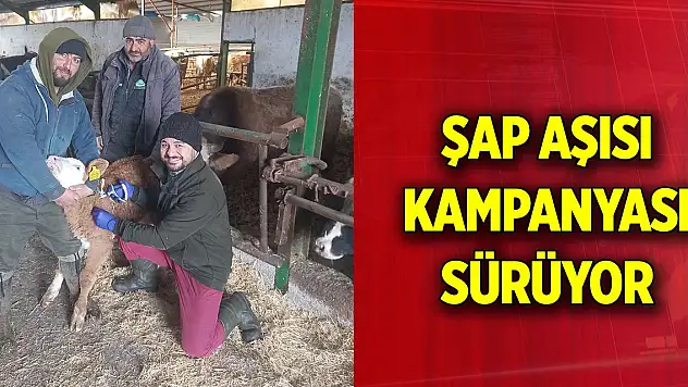 Beyşehir'de şap aşısı kampanyası sürüyor