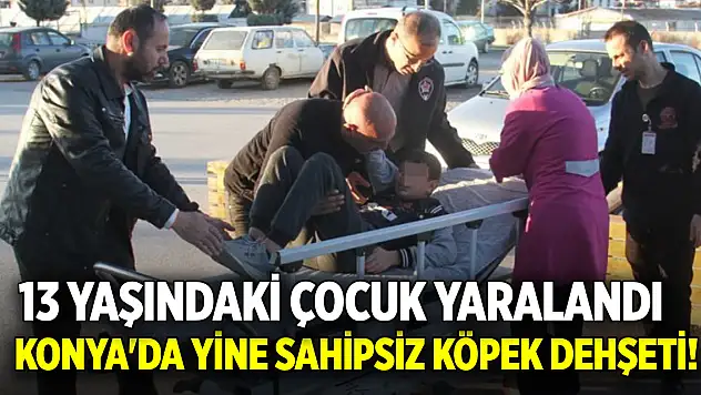Konya'da yine sahipsiz köpek dehşeti! 13 yaşındaki çocuk yaralandı!