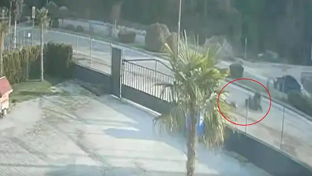 Yaya öldü kaza kamerada