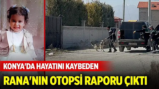 Konya'da sokak köpeklerinin saldırısında hayatını kaybeden Rana'nın otopsi raporu çıktı