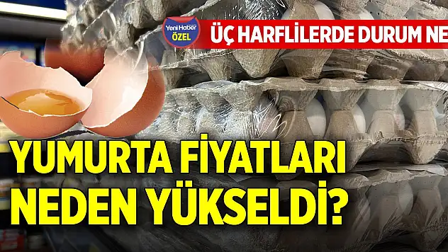 Yumurta fiyatları neden yükseldi? Üç harflilerde durum ne?