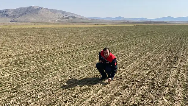 Tarım İlçe Müdürlüğü ekipleri sahada