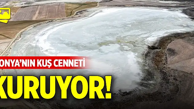 Konya'nın kuş cenneti kuruyor!