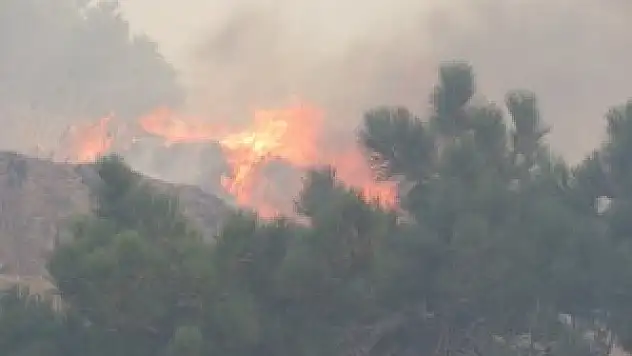 Konya'da orman yangını