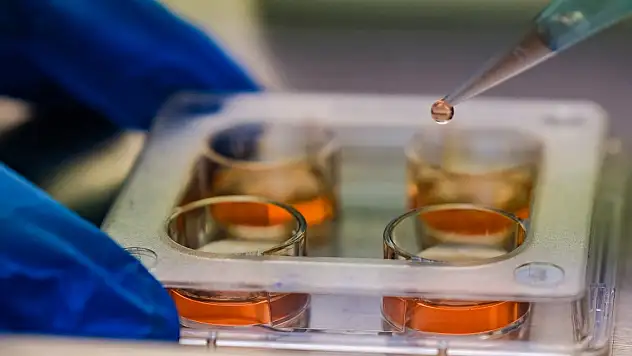 Konya'da bir ilk gerçekleştiriliyor!