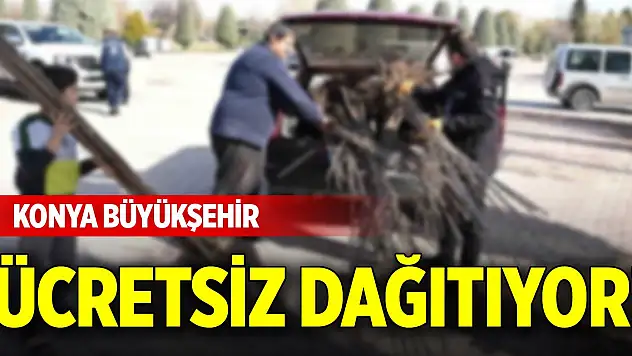 Konya Büyükşehir ücretsiz dağıtıyor!
